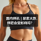 国内钾讯 | 尿素大跌,钾肥会受影响吗?(图4) 国内钾讯 | 尿素大跌,钾肥会受影响吗?(图4)
