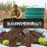 氯化钾价格持稳运行(图3) 氯化钾价格持稳运行(图3)