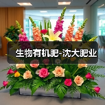生物有机肥-沈大肥业（图3）