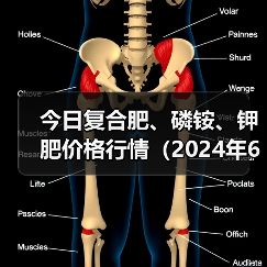 今日复合肥、磷铵、钾肥价格行情(2024年6月12日)(图4) 今日复合肥、磷铵、钾肥价格行情(2024年6月12日)(图4)