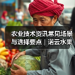 农业技术资讯常见场景与选择要点 | 诺云水果技术网 农业技术资讯常见场景与选择要点 | 诺云水果技术网